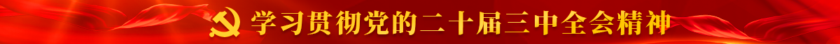 學(xué)習(xí)貫徹黨的二十屆三中全會精神